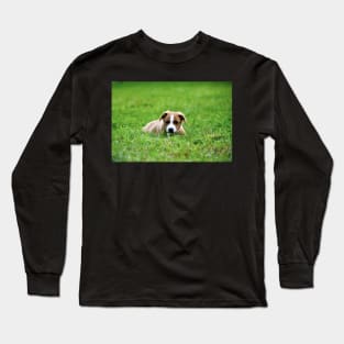 Welpen I / Swiss Artwork Photography Long Sleeve T-Shirt